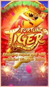 fortune tiger cover
